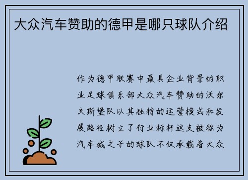 大众汽车赞助的德甲是哪只球队介绍